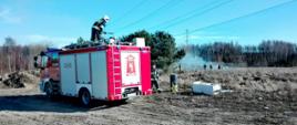 Na zdjęciu strażacy gaszący pożar traw