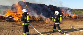 Na zdjęciu strażacy podający prądy wody na palący się stóg 