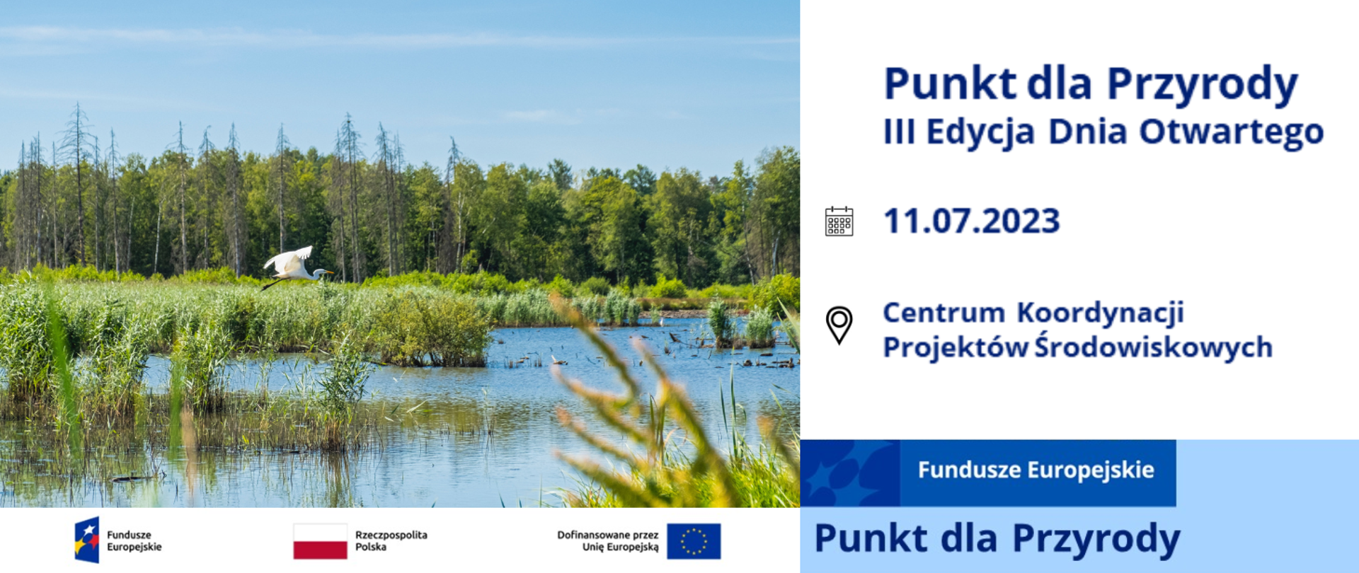 Panorama porośniętego roślinnością rozlewiska na tle lasu. W locie czapla biała. 