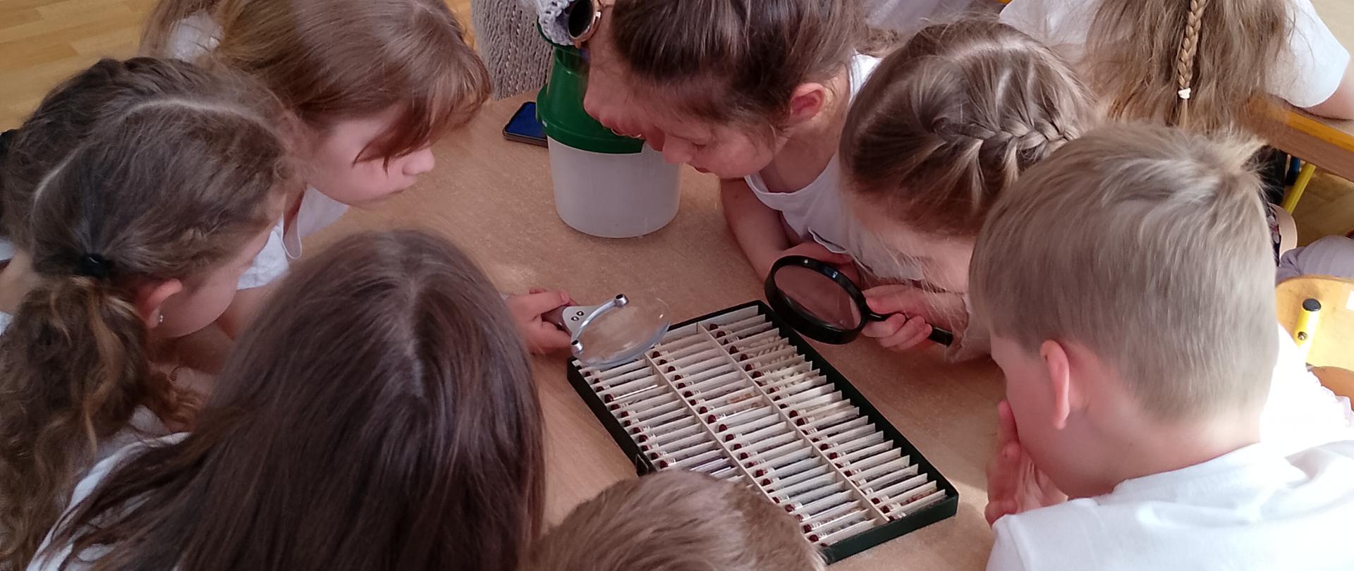 Zdjęcie przedstawia pracownika WIORiN prowadzącego zajęcia edukacyjne dla grupy dzieci na sali w przedszkolu "Żagielek". Dzieci przy użyciu lupy przyglądają się zawartości probówek.