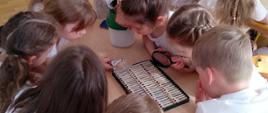 Zdjęcie przedstawia pracownika WIORiN prowadzącego zajęcia edukacyjne dla grupy dzieci na sali w przedszkolu "Żagielek". Dzieci przy użyciu lupy przyglądają się zawartości probówek.