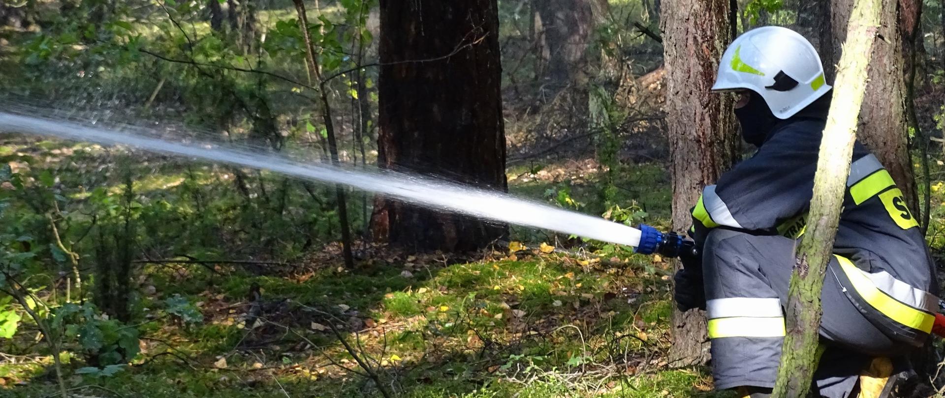 Na zdjęciu strażak OSP, w białym hełmie, w ubraniu specjalnym "starego typu", na twarzy ma kominiarkę. Kuca pod drzewem, jednocześnie podając zwarty prąd wody z prądownicy typu Turbo-Jet.
