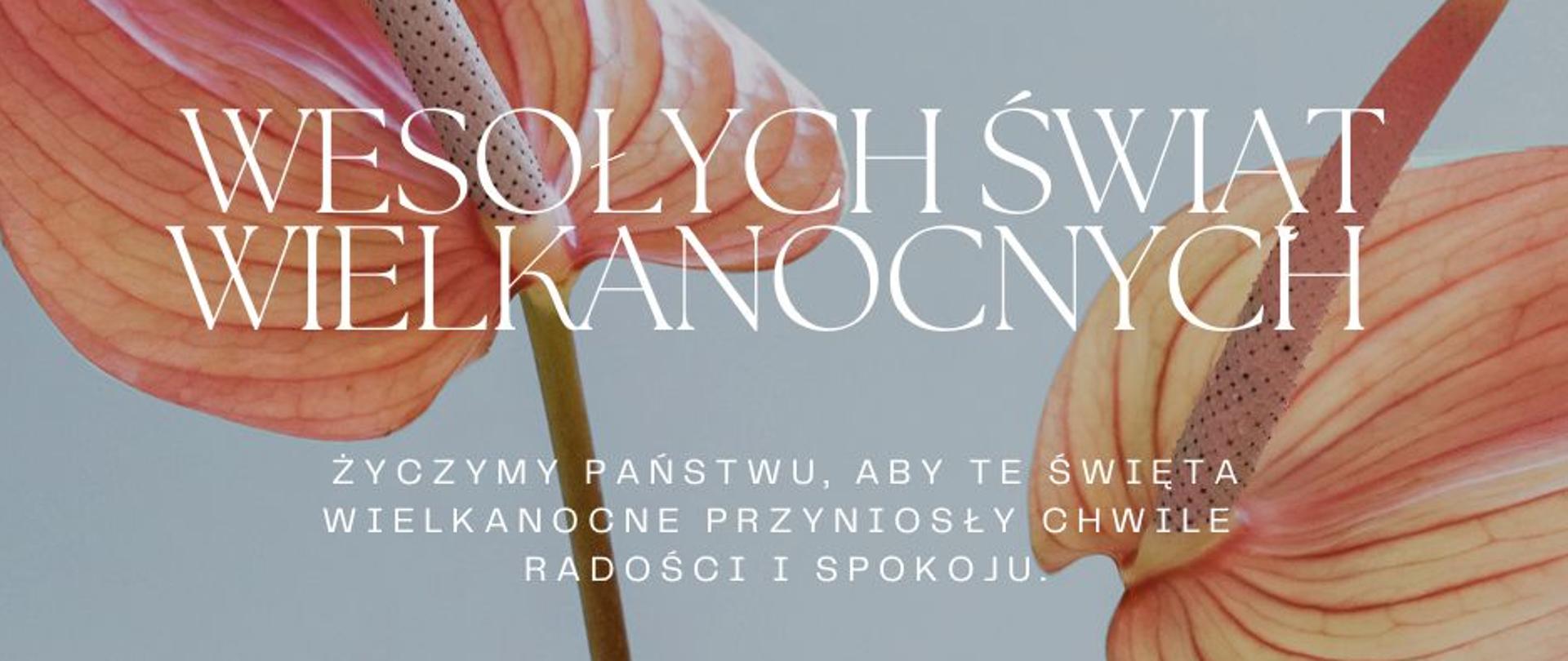 Wielkanoc 2023