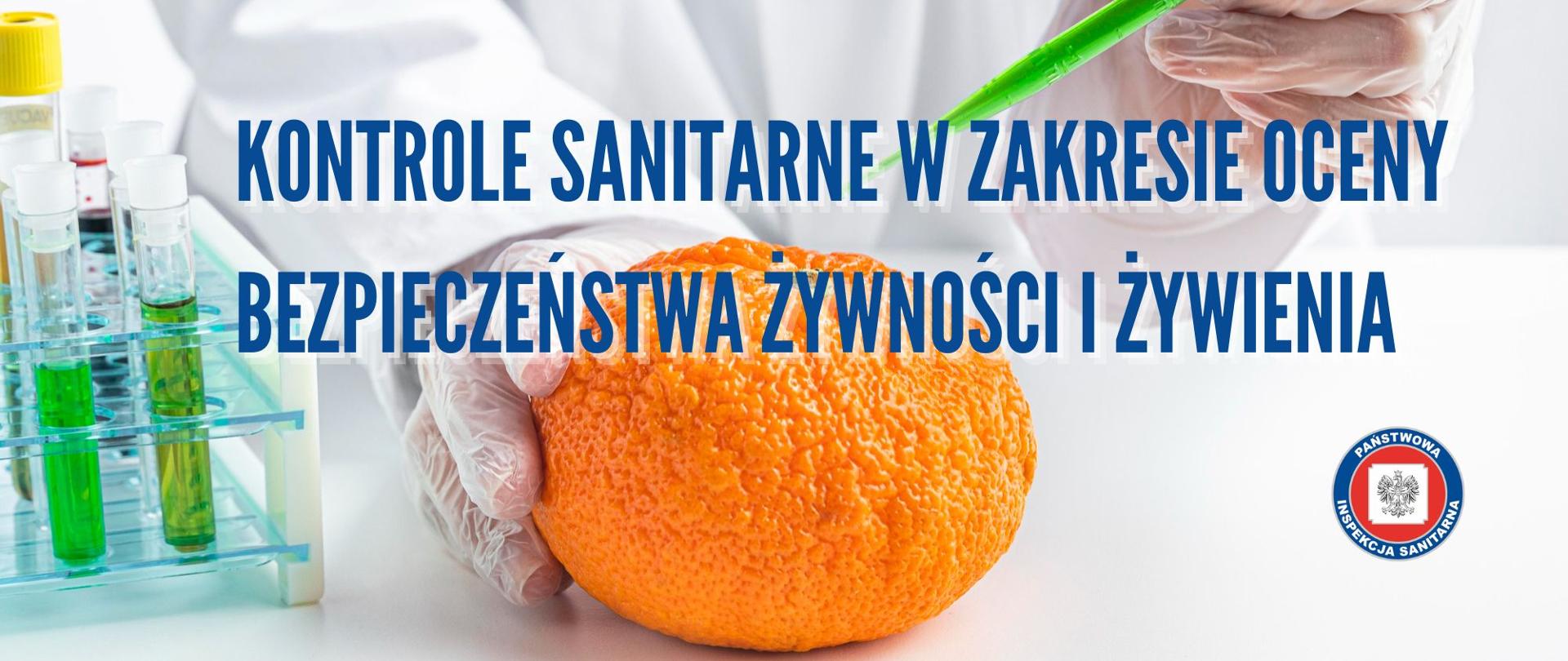 Osoba w rękawiczkach laboratoryjnych bada pomarańczowe warzywo.