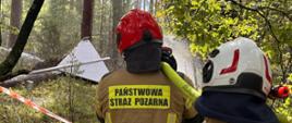 Na pierwszym planie od tyłu widoczni są dwaj strażacy w ubraniach specjalnych i hełmach (czerwonym i jasnym), obserwujący miejsce zdarzenia za biało-czerwoną taśmą ostrzegawczą. Na żółtym pasie na plecach jednego ze strażaków widnieje czarny napis: „PAŃSTWOWA STRAŻ POŻARNA”. W głębi kadru, pośród pni sosen w gęstym lesie, znajduje się wrak białego drona, z którego unosi się biały dym. Pogoda jest słoneczna, a promienie światła malowniczo przenikają przez korony drzew i dym. Zdjęcie wywołuje emocje czujności, gotowości do akcji oraz realnego zagrożenia pożarowego.