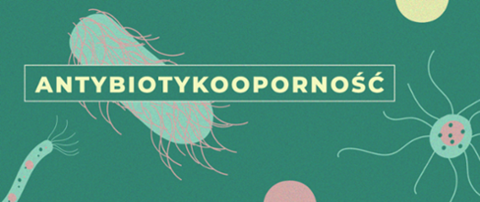 Profilaktyka_Antybiotyki