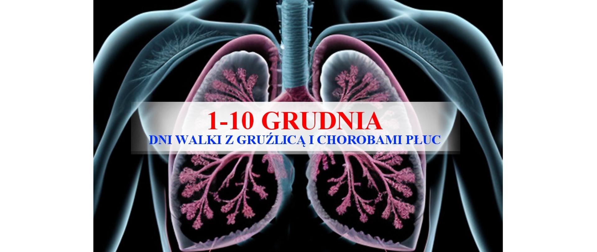 Na czarnym tle umieszczono rysunek klatki piersiowej człowieka. Na rysunek naniesiono grafikę przedstawiającą płuca. Na środku umieszczono napis "1-10 GRUDNIA DNI WALKI Z GRUŹLICĄ I CHOROBAMI PŁUC.
