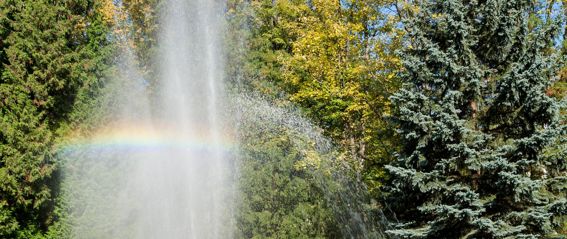Fontanna w parku, w wytryskującej wodzie widać tęczę (rozszczepienie światła w kroplach wody fontanny)