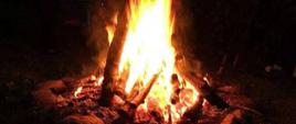 Ognisko