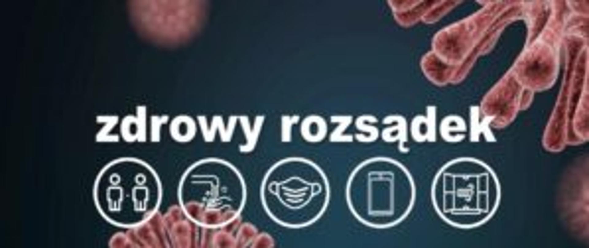 Zdrowy Rozsądek