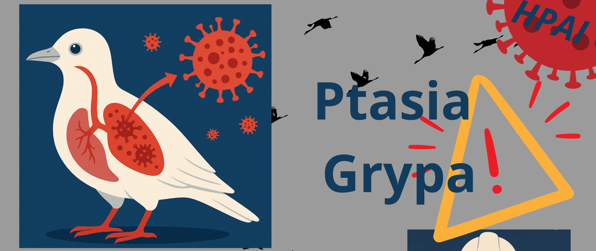 ptasia grypa
