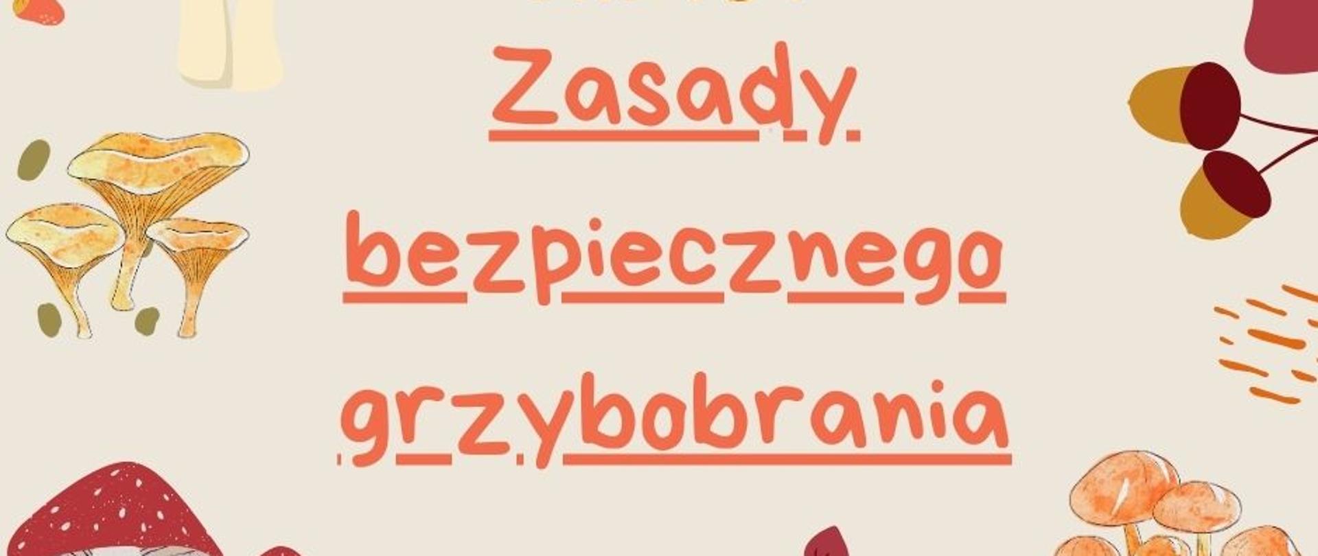 Baner grzyby - zasady bezpiecznego grzybobrania