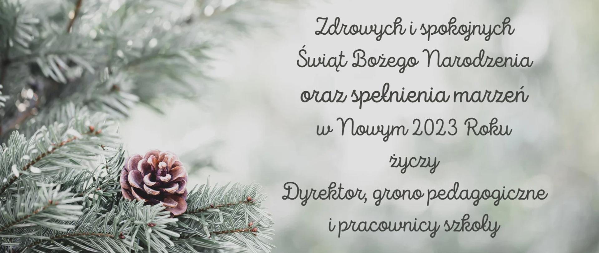 Na jasno-szarym tle tekst życzeń Świątecznych. Po lewej stronie zdjęcia świerkowa gałązka z szyszką.