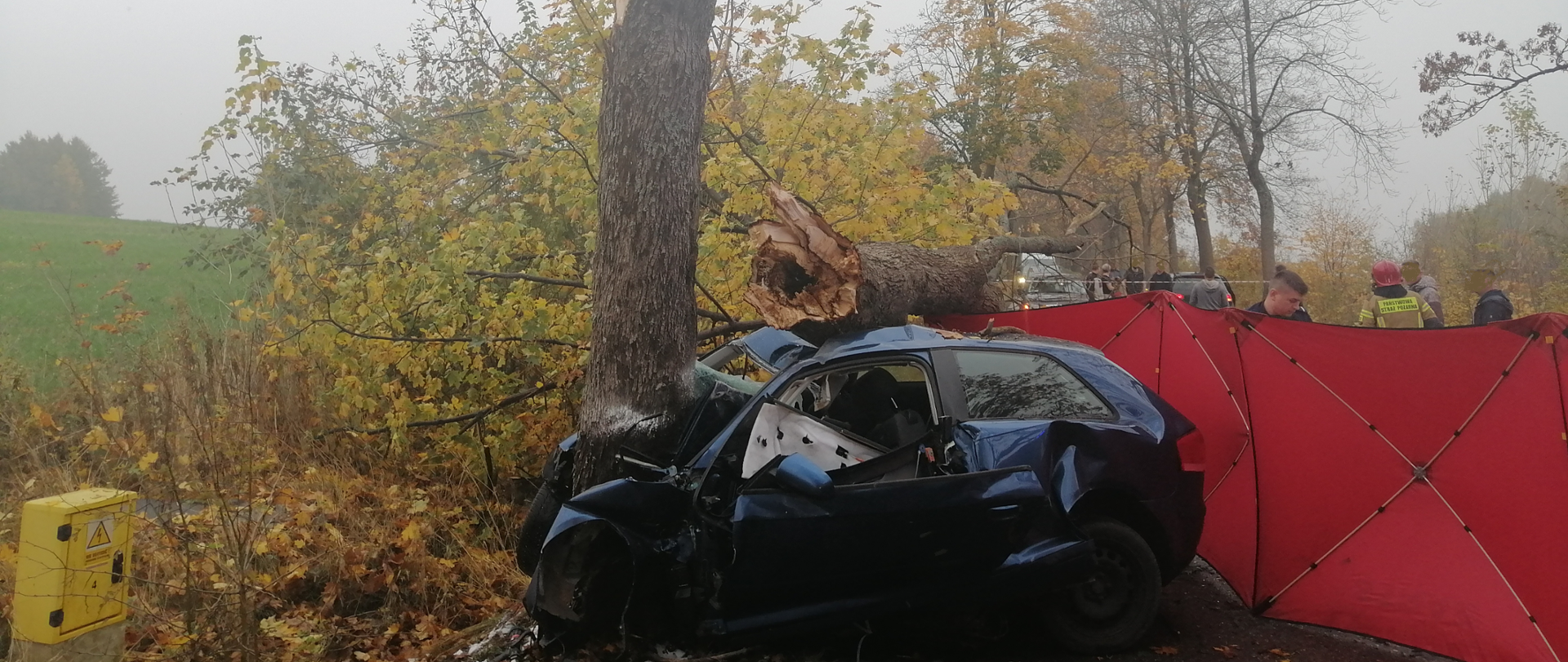 Zdjęcie przedstawia granatowe auto wbite w drzewo. Na dachu auta znajduje się połamany konar. Od strony ulicy strażak rozstawia czerwony parawan. Z lewej strony znajduje się przy polu skrzynka z gazem.