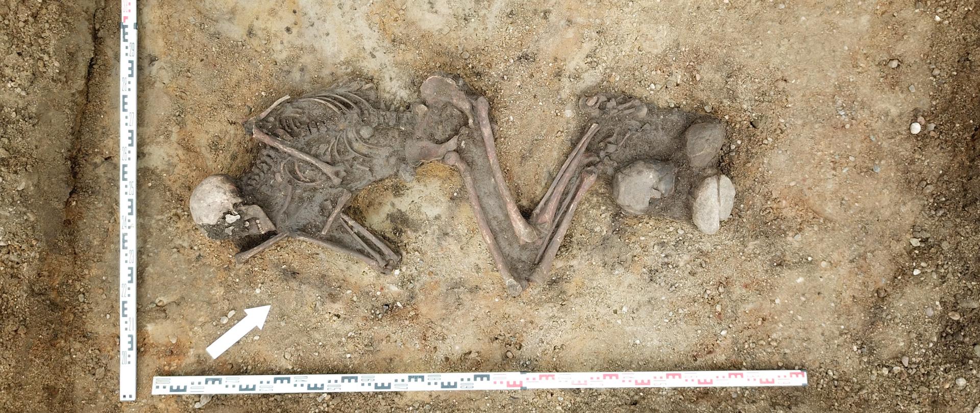 Badania archeologiczne na budowie S8 w okolicach Kobierzyc i Jordanowa Śląskiego/ fot. 4D Media