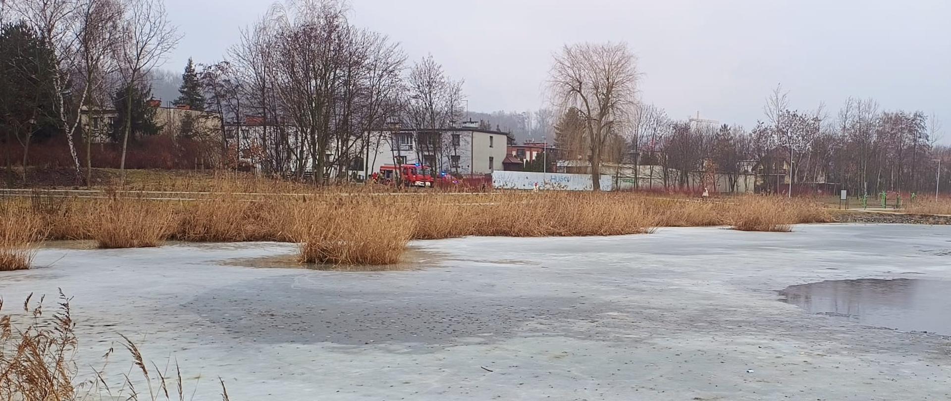 Fotografia ukazuje częściowo zamarznięty zbiornik wodny otoczony suchą, wysoką trzciną w surowej, zimowej scenerii. W oddali, za linią bezlistnych drzew, widoczne są zabudowania oraz czerwony wóz strażacki stojący na drodze. Niebo jest całkowicie zachmurzone, co nadaje ujęciu chłodny i spokojny charakter.