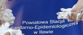 Zdjęcie przedstawiające mycie rąk przez pracowników PSSE w Iławie 