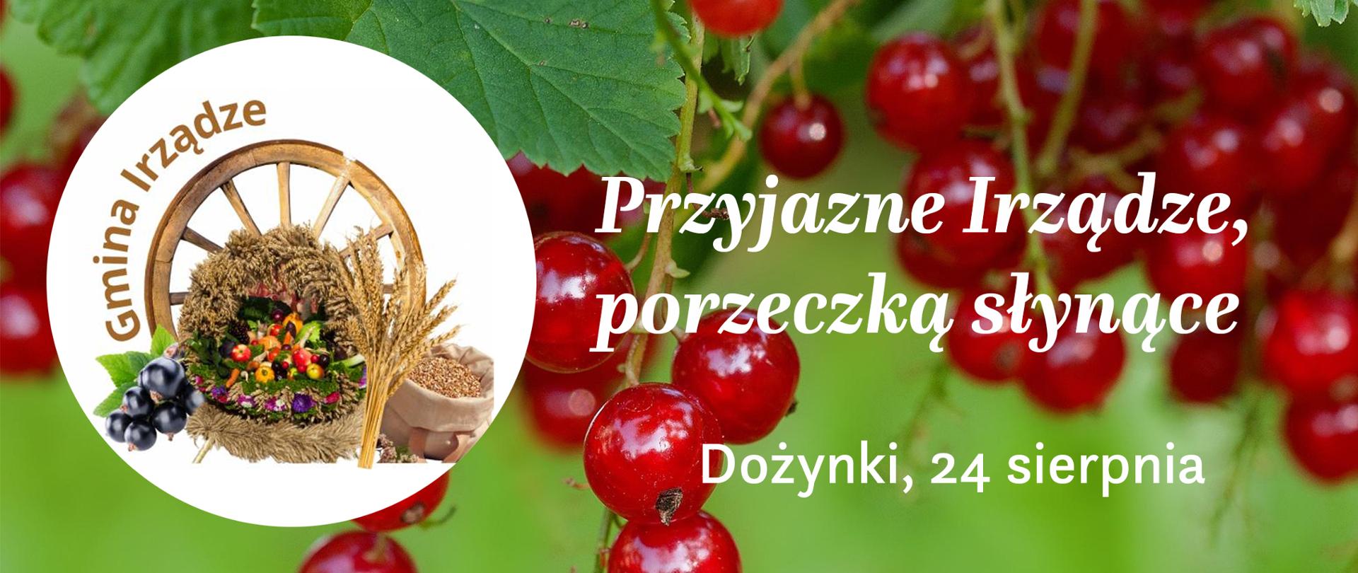 Zaproszenie na dożynki w Irządzach, na grafice widoczny tytuł imprezy na tle owoców czerwone porzeczki