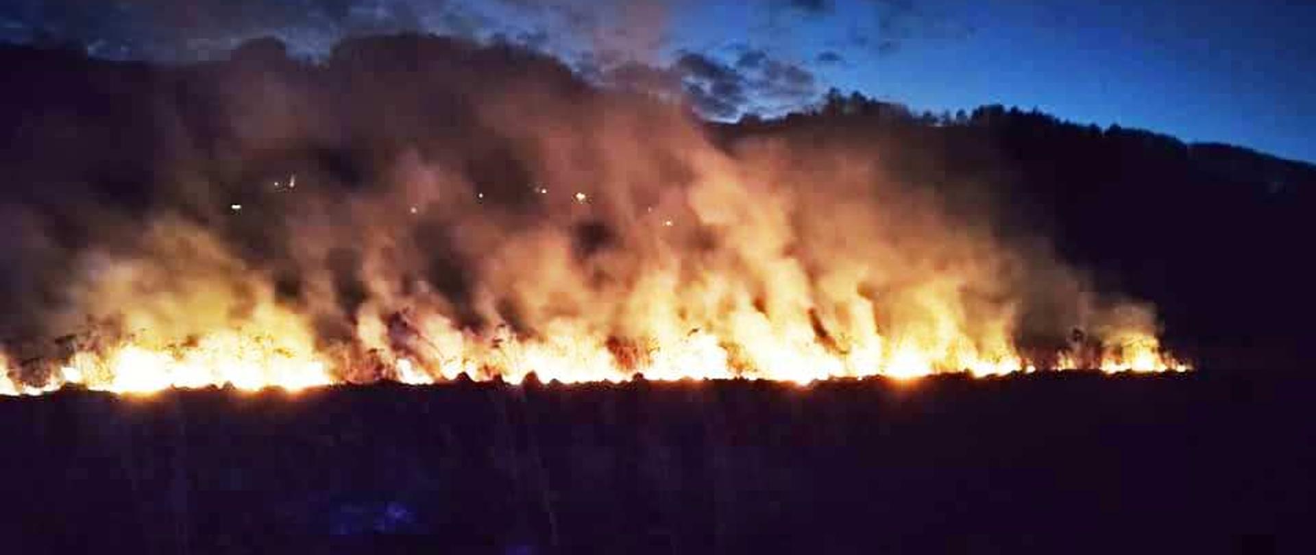 Paląca się sucha trawa w porze nocnej. Wysokie płomienie i gęste zadymienie.