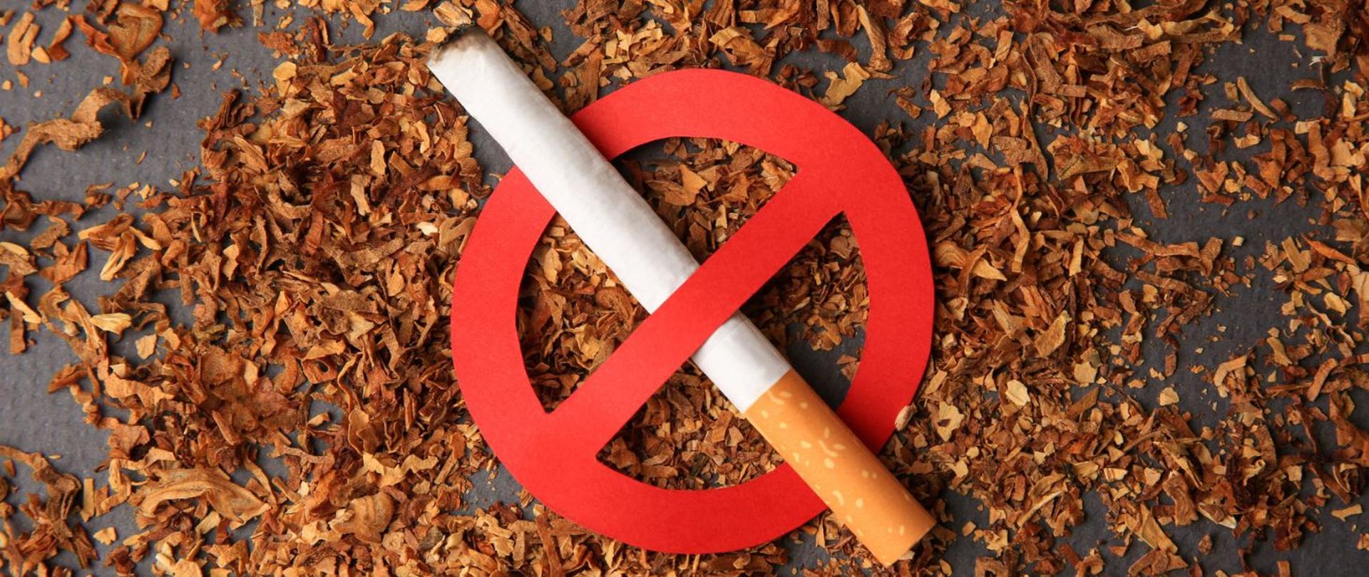 Światowy Dzień Rzucania Palenia Tytoniu 2023