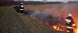 Zdjęcie przedstawia dwóch strażaków OSP gaszących tłumicami pożar suchej trawy