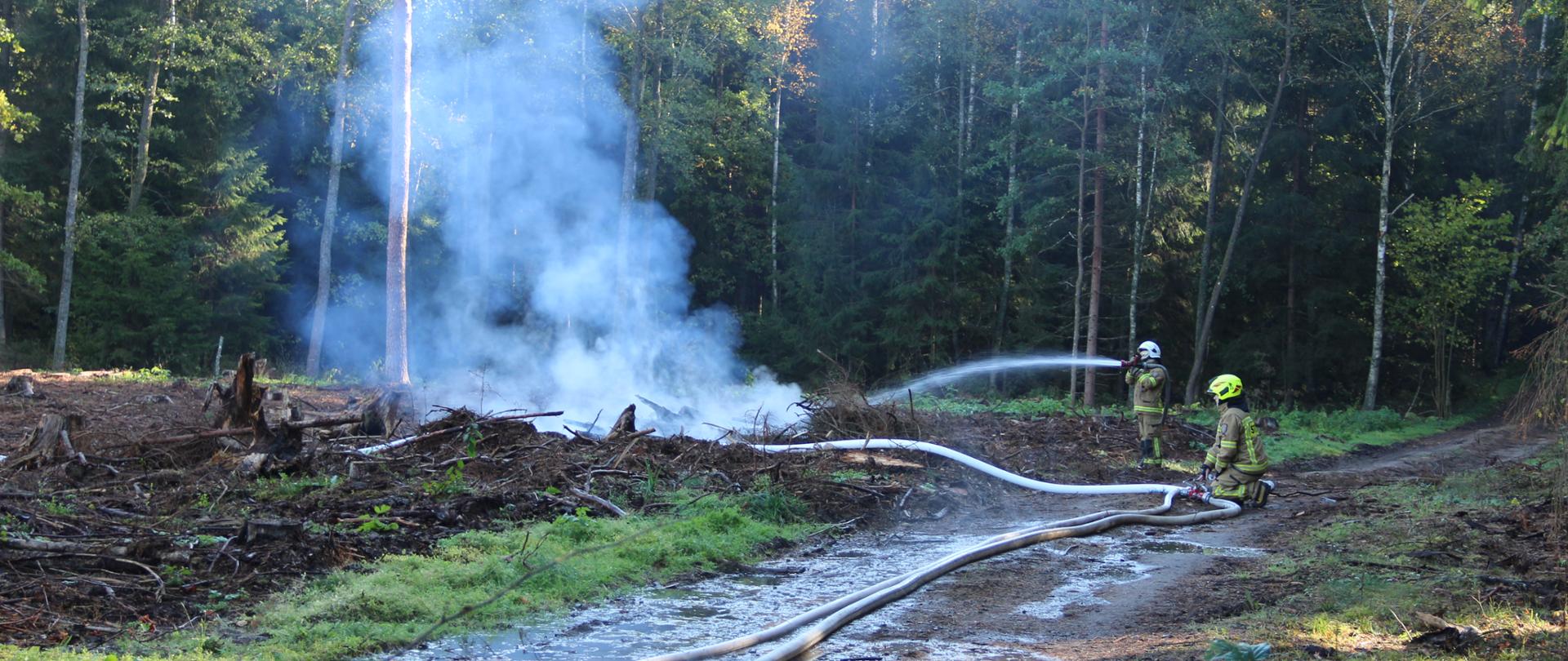 Strażacy gaszą zarzewie ognia w lesie