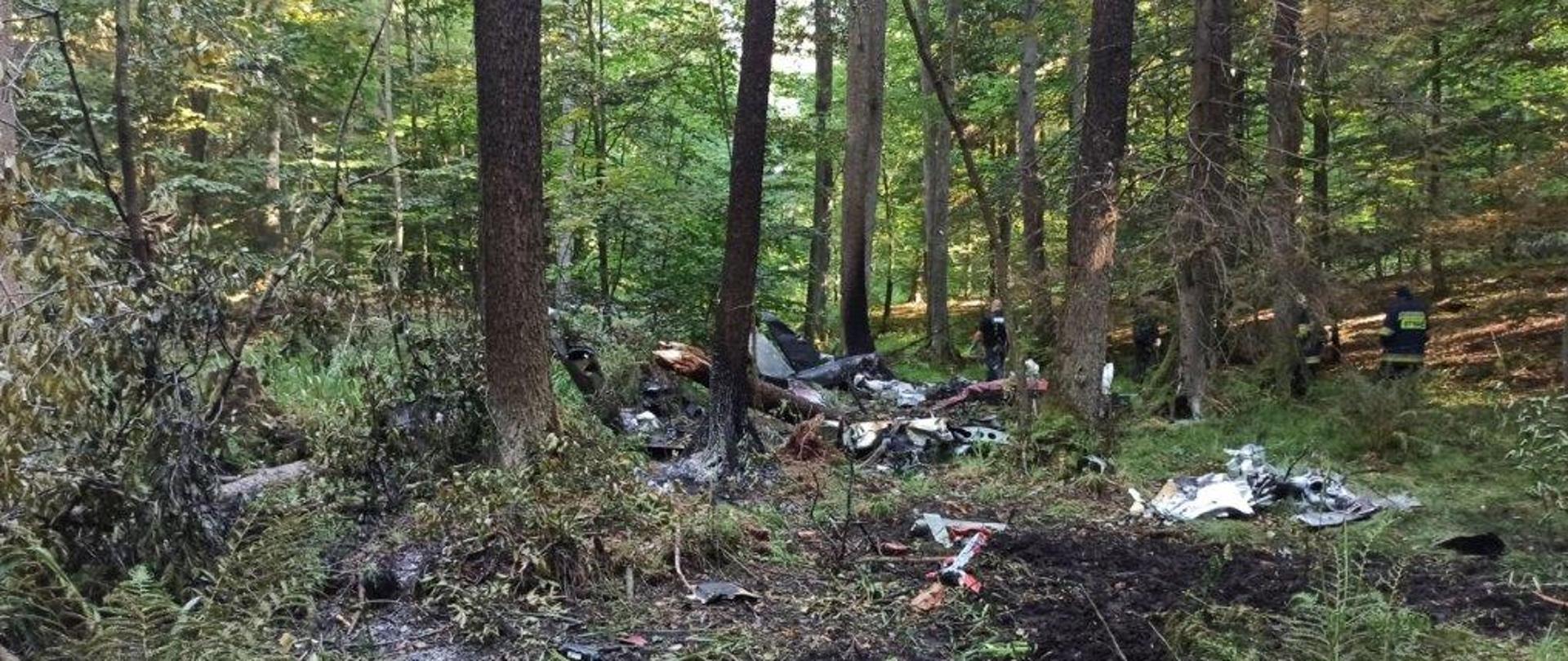Zdjęcie ukazuje resztki po upadku samolotu w lesie