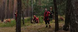 Na zdjęciu widać ratowników w kombinezonie wysokościowym. Zdjęcie wykonane w lesie. Widać drzewa. Zdjęcie zrobione w ciągu dnia.