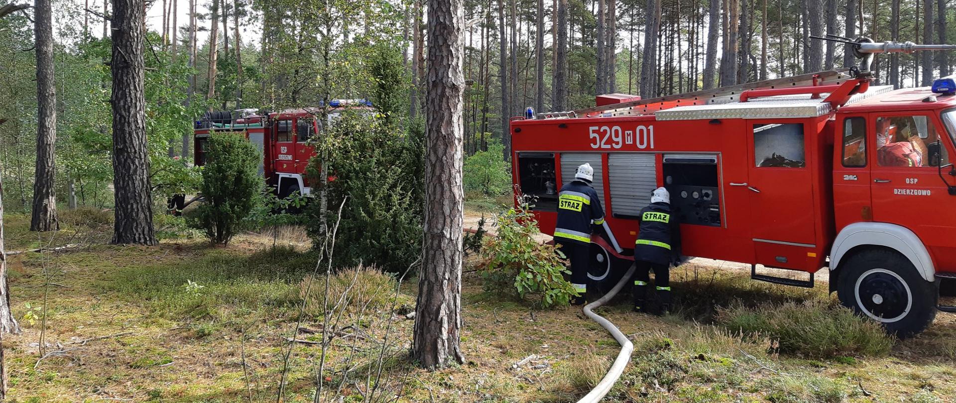 W lesie na polnej drodze stoją dwa wozy strażackie, koło których stoją strażacy podłączający odcinki gaśnicze. Ubrani są w ubrania bojowe oraz hełmy. 