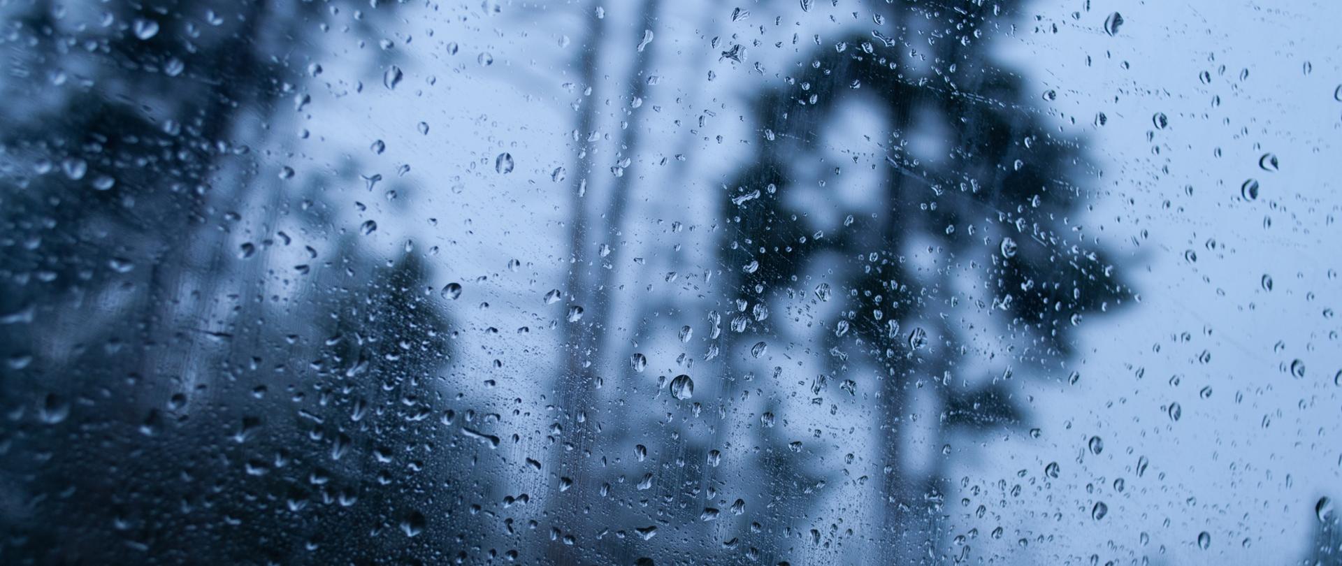A closeup shot of a wet glass reflecting the rainy forest scenery