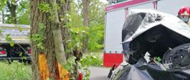 SAMOCHÓD OSOBOWY UDERZYŁ W DRZEWO W OKOLICACH KĄKOLEWA