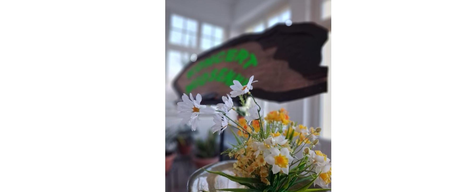 Zdjęcie kolorowe. Bukiet sztucznych kwiatów z białymi stokrotkami oraz mniejszymi żółtymi i białymi kwiatuszkami na pierwszym planie. W tle rozmyta tabliczka o nieregularnym kształcie z zielonym napisem "KONCERT WIOSENNY". Całość w jasnym pomieszczeniu z oknami w tle.