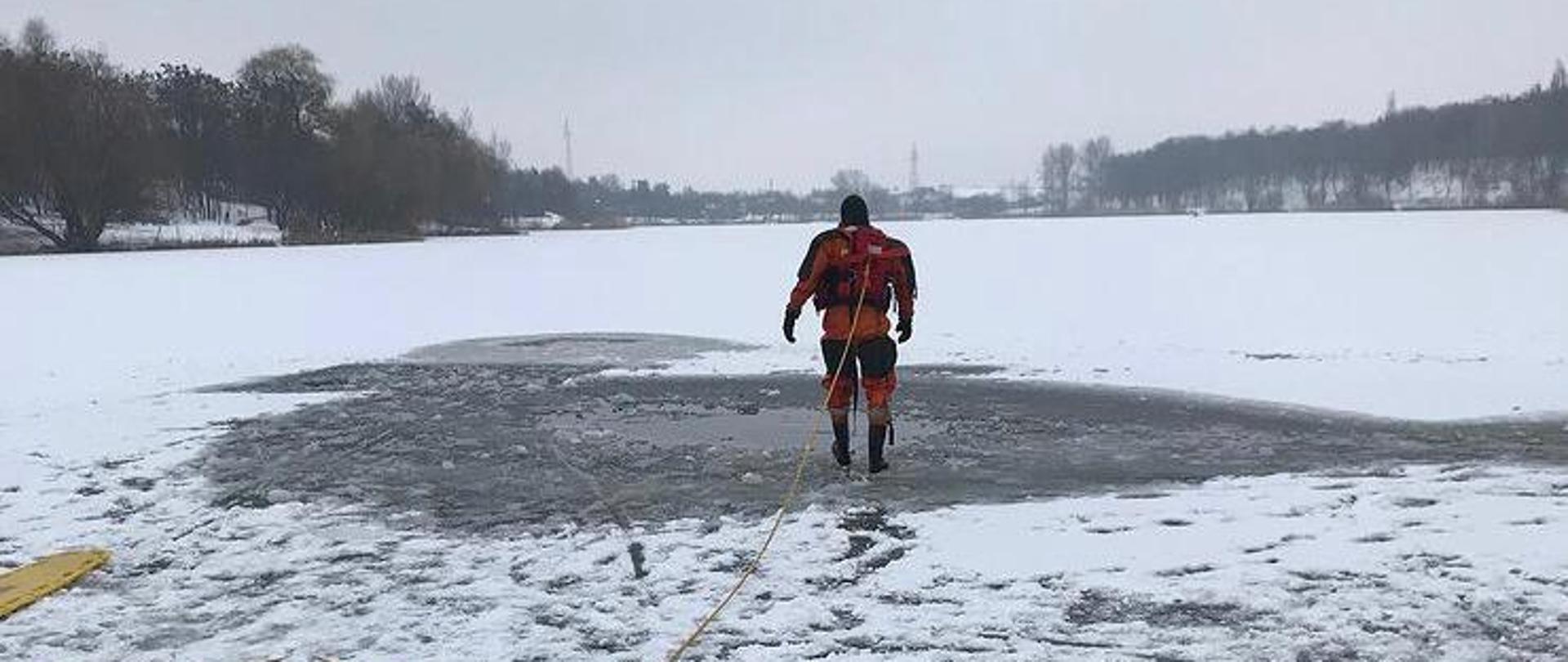 Widok zamarzniętego jeziora pokrytego białym śniegiem. Na tafli lodu stoi strażak w pomarańczowym skafandrze do pracy w wodzie. Zabezpieczony jest żółtą linką nawiniętą na zwijadło. W tle szare drzewa rosnące wokół jeziora