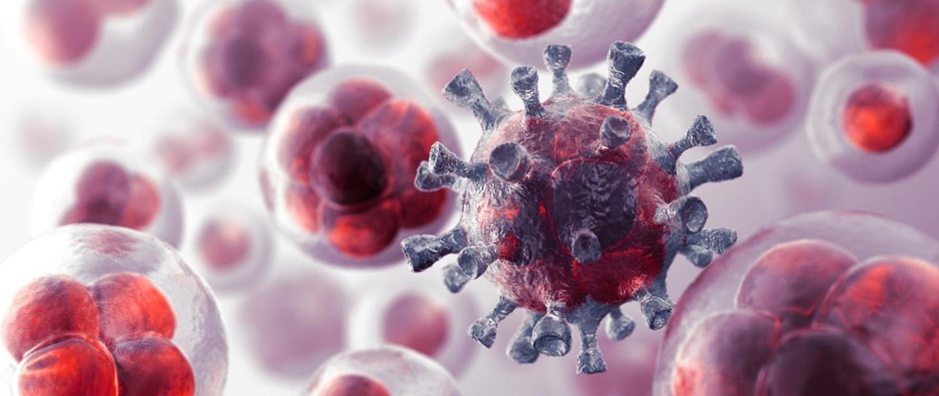 obraz kulistego wirusa z licznymi wypustkami unoszący się pośród wielu kulistych tworów. 