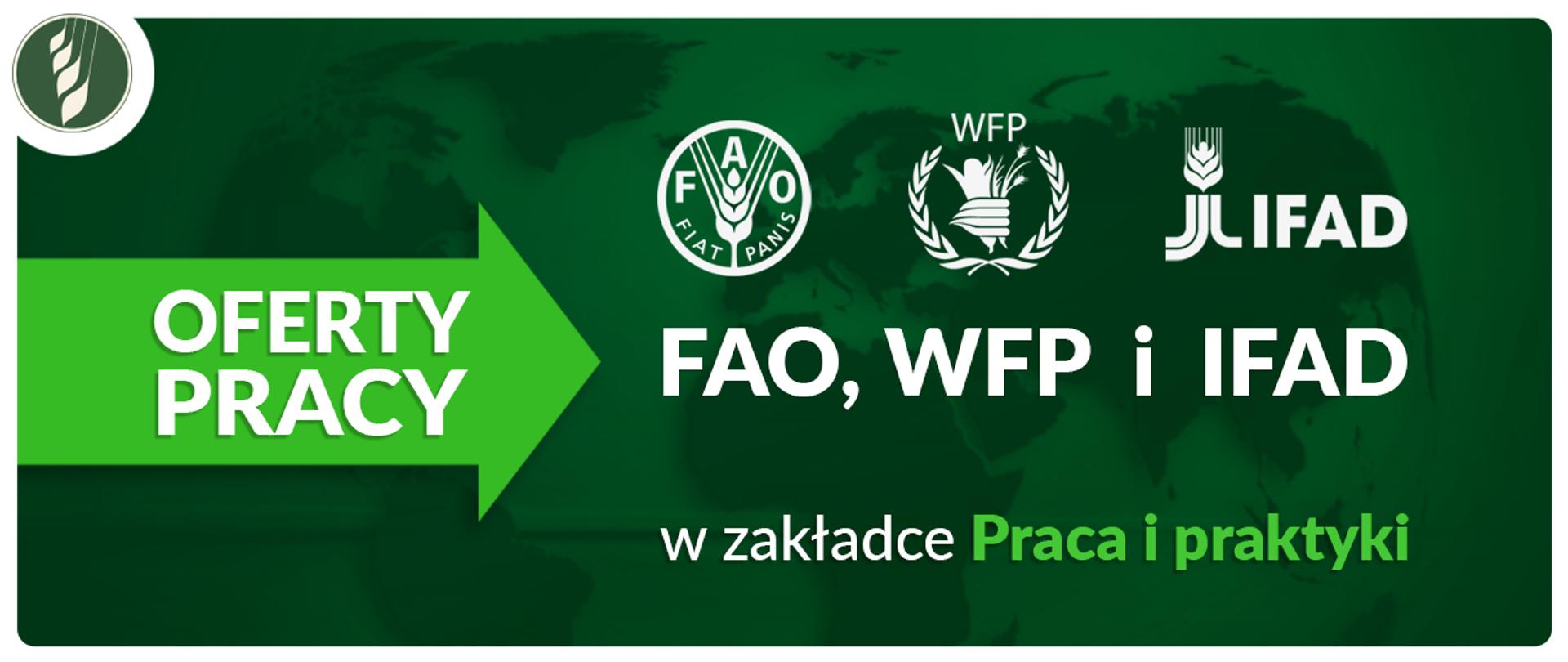 Oferty pracy w FAO WFP i IFAD