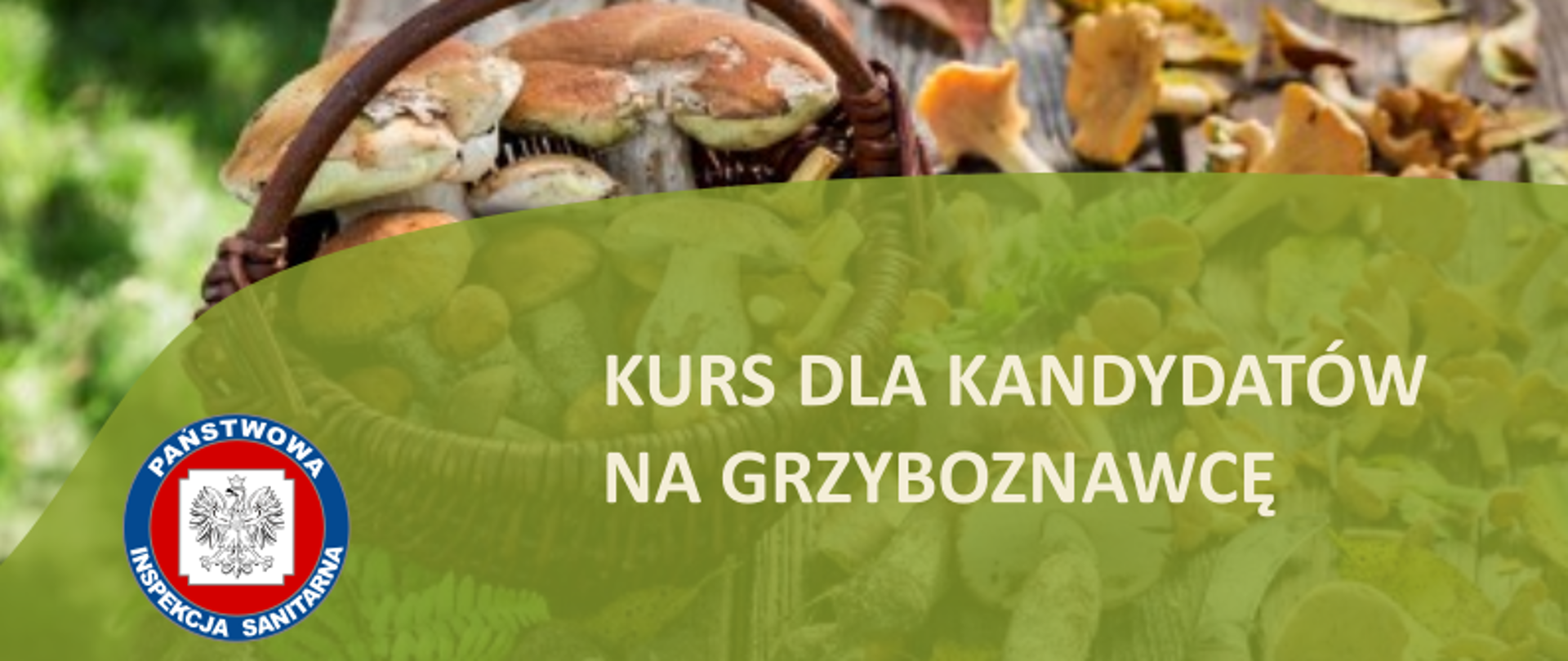 Kurs na grzyboznawcę