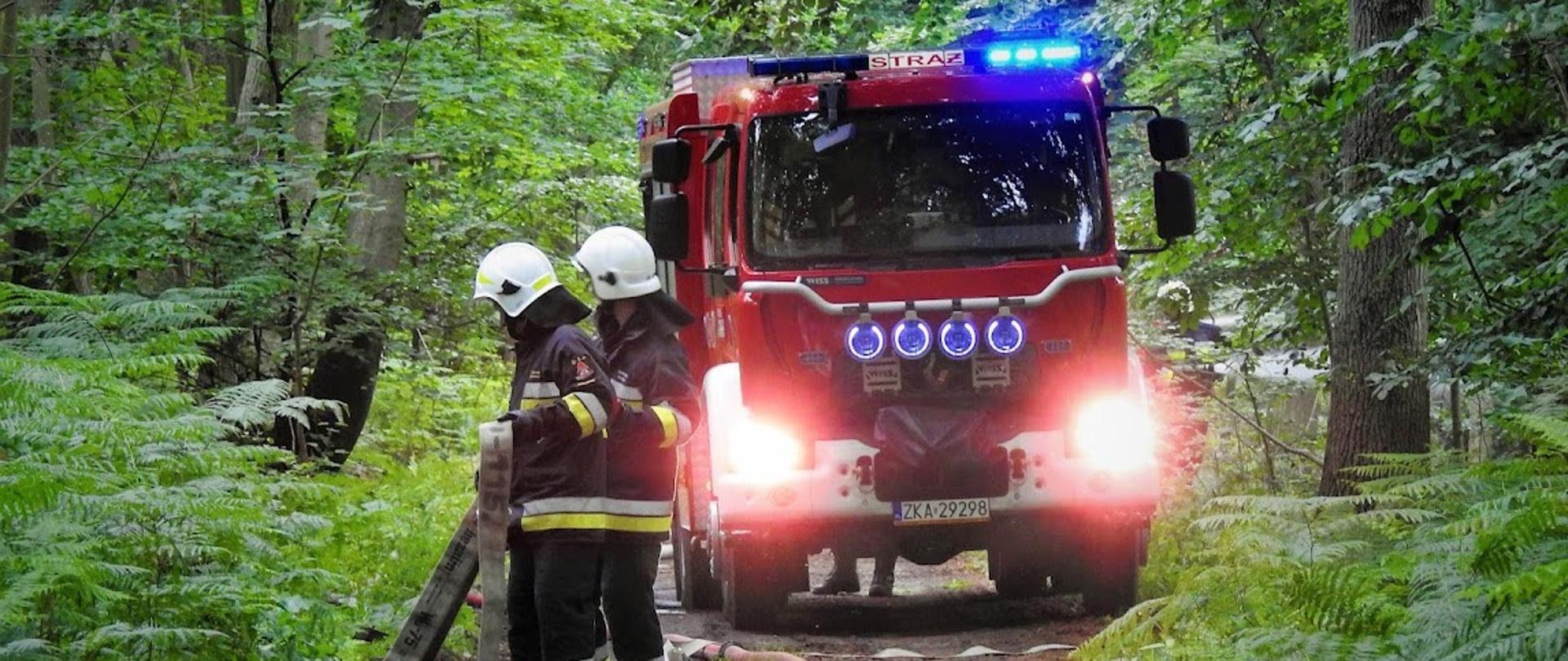 Dojazd pożarowy nr 28, na którym stoi średni samochód ratowniczo-gaśniczy. 2 strażacy rozwijają linie wężowe. Dookoła gęsty las.
