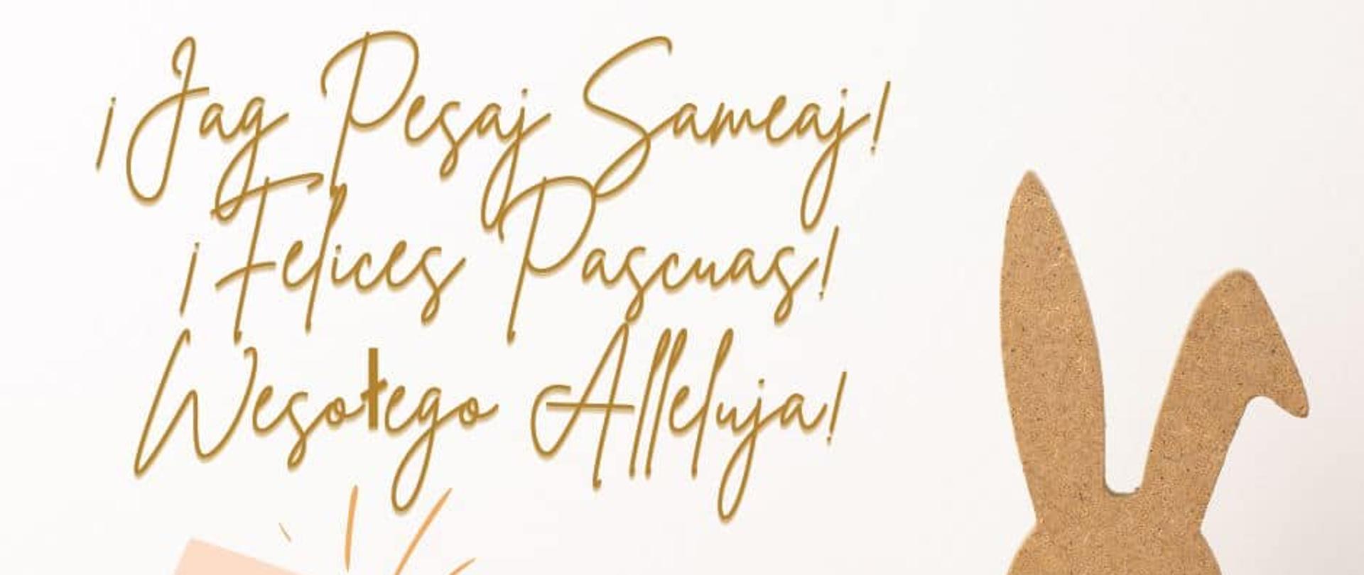 ¡Jag Pesaj Sameaj! ¡Felices Pascuas! Wesołego Alleluja!