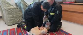 Zdjęcie przedstawia dwóch strażaków ratowników podczas egzaminu praktycznego, prowadzący resuscytację krążeniowo-oddechową. 