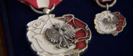 Odznaka Honorowa za Zasługi dla Polonii i Polaków za Granicą