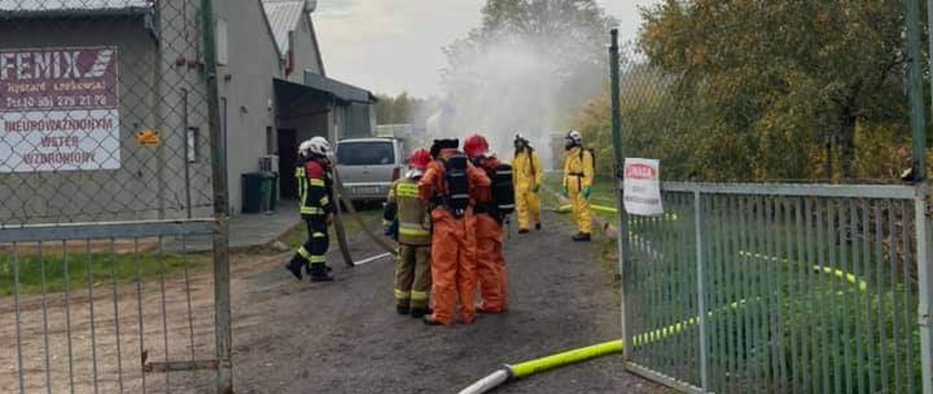 Karpiny miejscowe zagrożenie - strażacy
