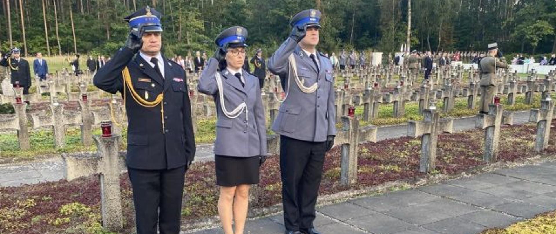 Na zdjęciu widocznych trzech mundurowych w mundurach wyjściowych, stoją na cmentarzu pomiędzy mogiłami, oddają honor. Przed nimi leży wiązanka biało-czerwonych kwiatów.