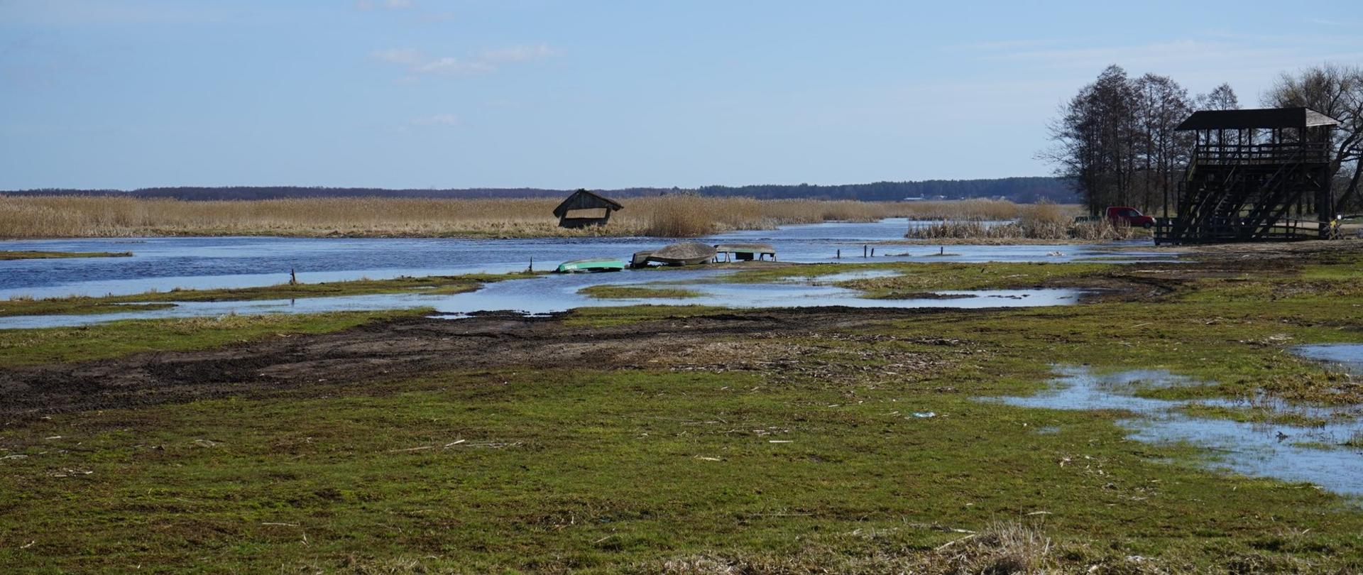 Wiosenne rozlewiska Narwi - Narwiański Park Narodowy