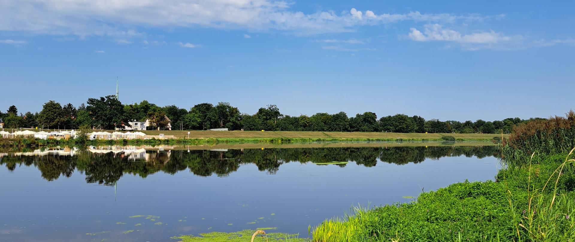 zdjęcie brzegu Odry