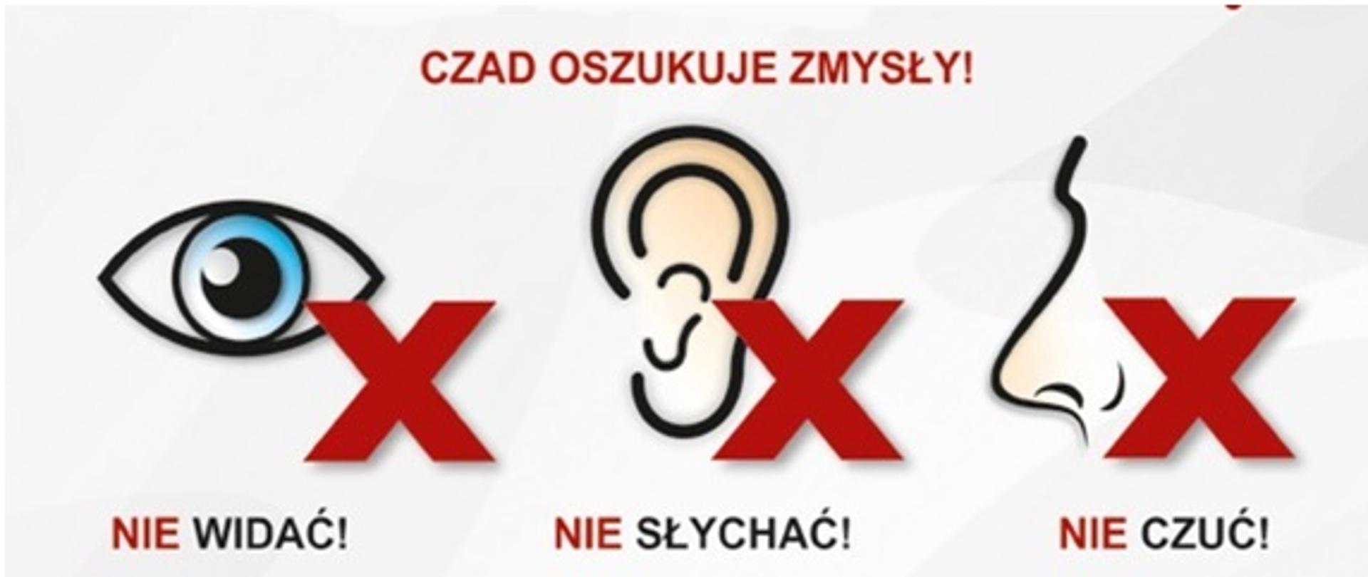 Czujka na straży Twojego bezpieczeństwa