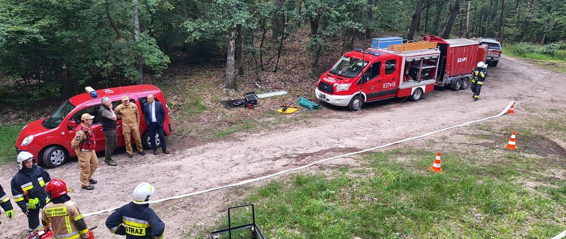 Manewry leśne w gminie Gołańcz