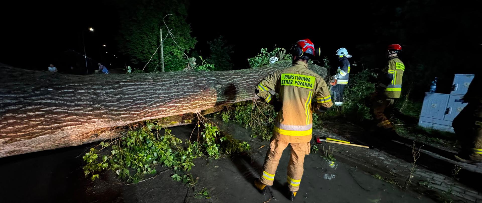 Przewrócone drzewo blokujące drogę