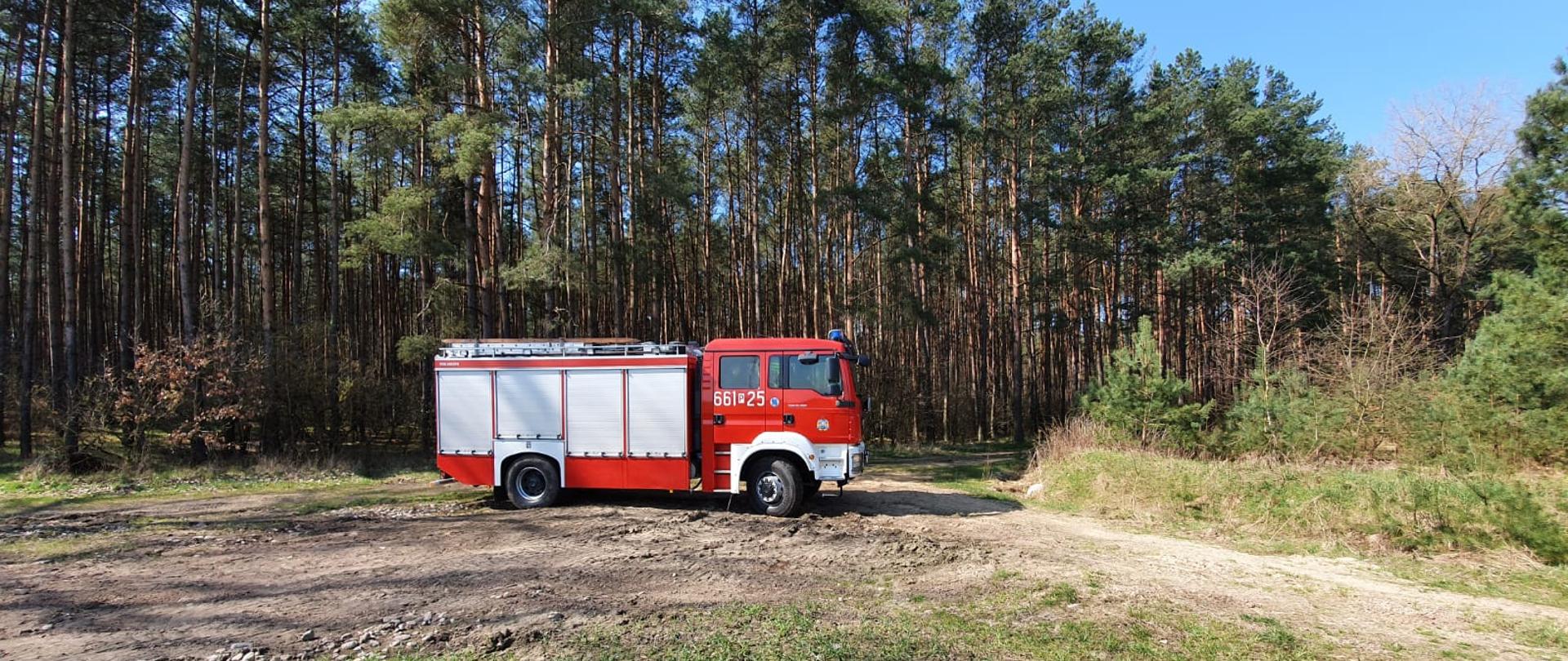 Samochód strażacki na drodze leśnej.