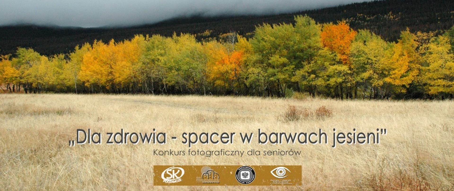 Spacer w barwach jesieni