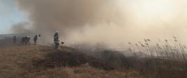 Pożar trawy w powiecie pińczowskim.